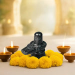 
                    
                      narmadeshwar shivling, narmada stone shivling, original narmadeshwar shivling, swayambhu shivling, shivling for home temple, narmada shivling pooja, auspicious shivling for household, sanatan dharma shivling, narmadeshwar shivling by acharya lavbhushan
                    
                  