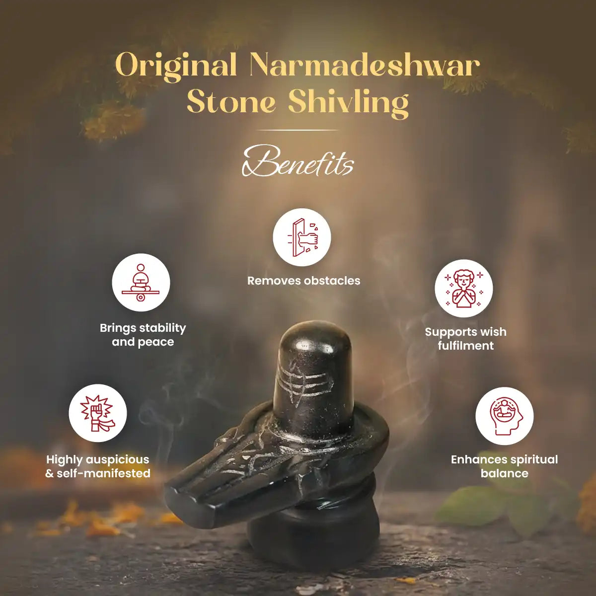 
                    
                      narmadeshwar shivling, narmada stone shivling, original narmadeshwar shivling, swayambhu shivling, shivling for home temple, narmada shivling pooja, auspicious shivling for household, sanatan dharma shivling, narmadeshwar shivling by acharya lavbhushan, benefits
                    
                  