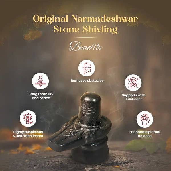 narmadeshwar shivling, narmada stone shivling, original narmadeshwar shivling, swayambhu shivling, shivling for home temple, narmada shivling pooja, auspicious shivling for household, sanatan dharma shivling, narmadeshwar shivling by acharya lavbhushan, benefits