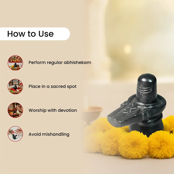 narmadeshwar shivling, narmada stone shivling, original narmadeshwar shivling, swayambhu shivling, shivling for home temple, narmada shivling pooja, auspicious shivling for household, sanatan dharma shivling, narmadeshwar shivling by acharya lavbhushan, how to use 