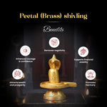 
                    
                      brass shivling, peetal shivling, original brass shivling, shivling for pooja, shiva puja shivling, vastu shivling brass, prosperity shivling, shivling for home and office, brass shivling by acharya lavbhushan, benefits
                    
                  