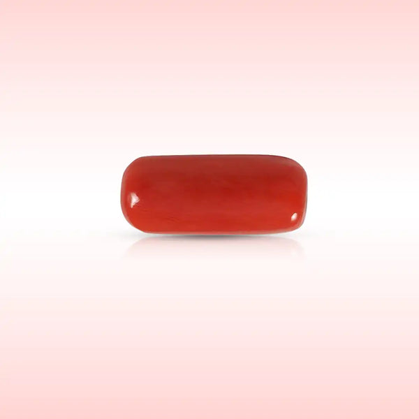 Red Coral (Moonga)