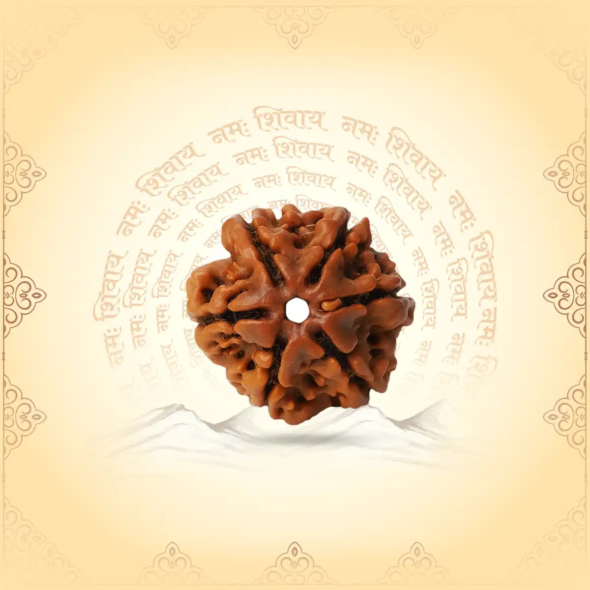 6 Mukhi Rudraksha (Nepal Origin) – Bead of Willpower & Attraction