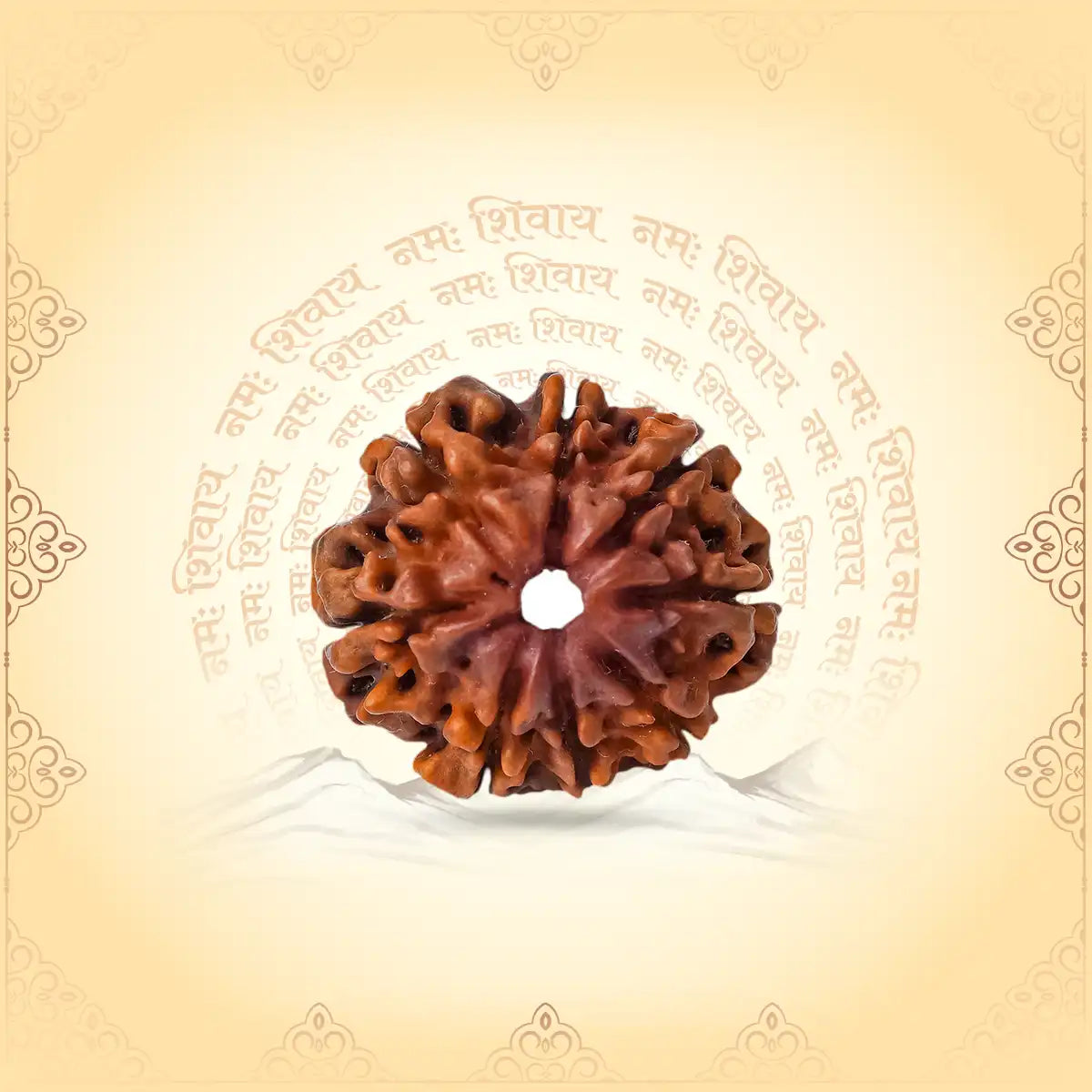 8 Mukhi Rudraksha (Nepal Origin) – Obstacle Remover & Mind Cleanser
