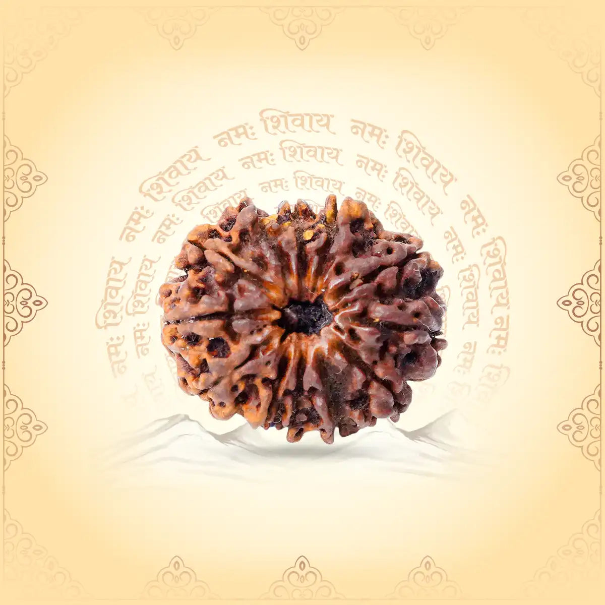 12 Mukhi Rudraksha – Bead of Radiance, Health & Leadership