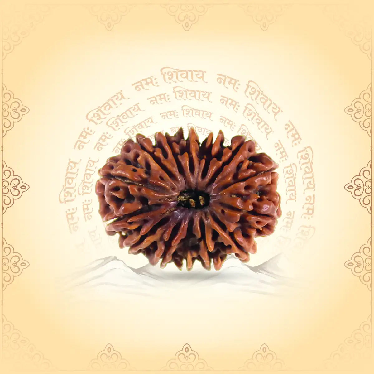 14 Mukhi Rudraksha – Divine Intelligence & Intuition Enhancer