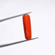 Natural Red Coral (Moonga) - 6.65 Carats