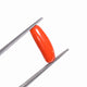 Natural Red Coral (Moonga) - 3.60 Carats