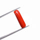 Natural Red Coral (Moonga) - 4.45 Carats