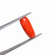 Natural Red Coral (Moonga) - 3.15 Carats