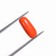 Natural Red Coral (Moonga) - 3.10 Carats
