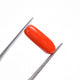 Natural Red Coral (Moonga) - 6.70 Carats