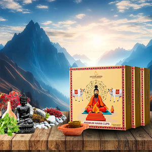 Premium Havan Cups Combo