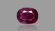 Natural Ruby (Manik) 3.65 Carats