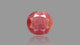 Burmese Ruby (Manik) 10.84 Carats