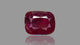 Natural Ruby (Manik) 6.66 Carats