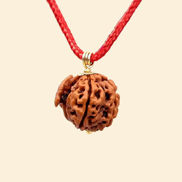 ganesh mukhi rudraksha acharya lavbhushan, ganesha rudraksha bead, obstacle remover rudraksha, wisdom clarity bead, shiva rudraksha, spiritual balance bead, vedic rudraksha, conscious living support
