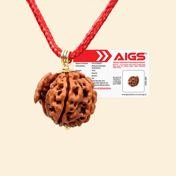 ganesh mukhi rudraksha acharya lavbhushan, ganesha rudraksha bead, obstacle remover rudraksha, wisdom clarity bead, shiva rudraksha, spiritual balance bead, vedic rudraksha, conscious living support
