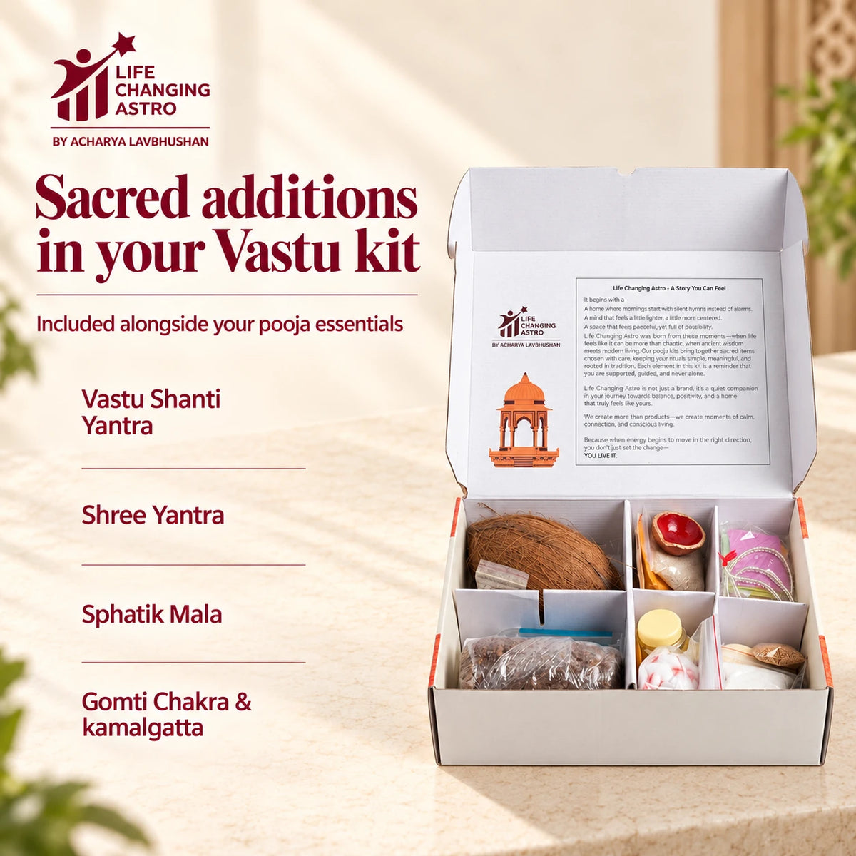 Laxmi Vastu Dosh Nivaran Kit. Open kit with special included samagri listed.