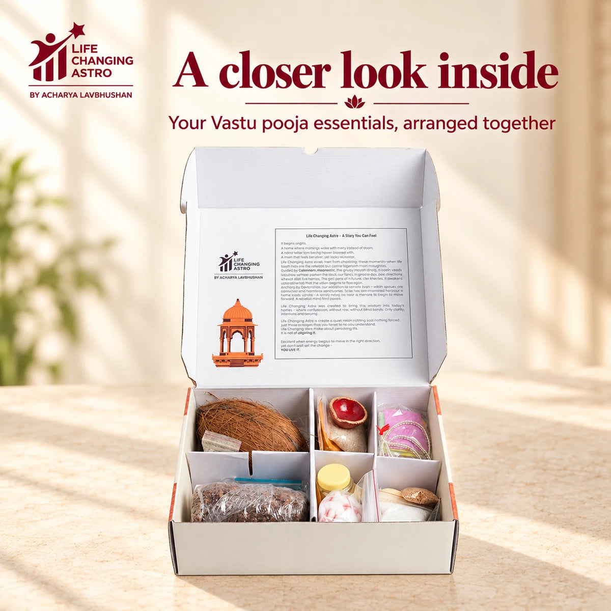 Laxmi Vastu Dosh Nivaran Kit. Open compartmented box showing the arranged contents.