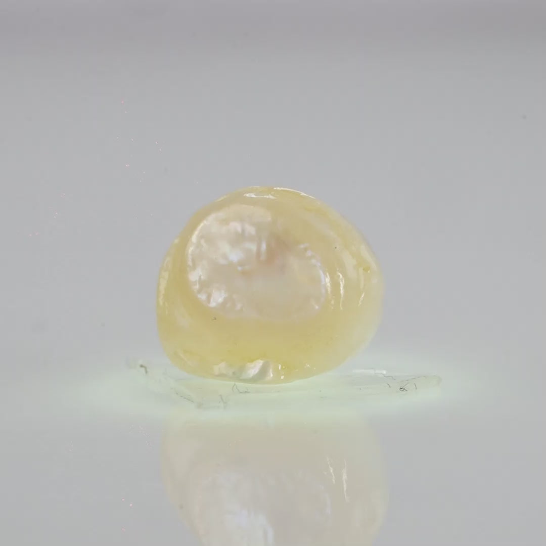 Natural Fresh Water Pearl - 5.19 Carats V