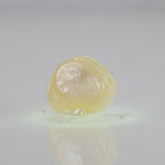 
                    
                      Load and play video in Gallery viewer, Natural Fresh Water Pearl - 5.19 Carats V
                    
                  