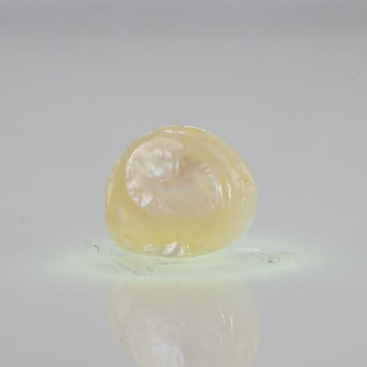 Natural Fresh Water Pearl - 5.19 Carats V