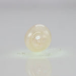 
                    
                      Load and play video in Gallery viewer, Natural Fresh Water Pearl - 5.81 Carats V
                    
                  