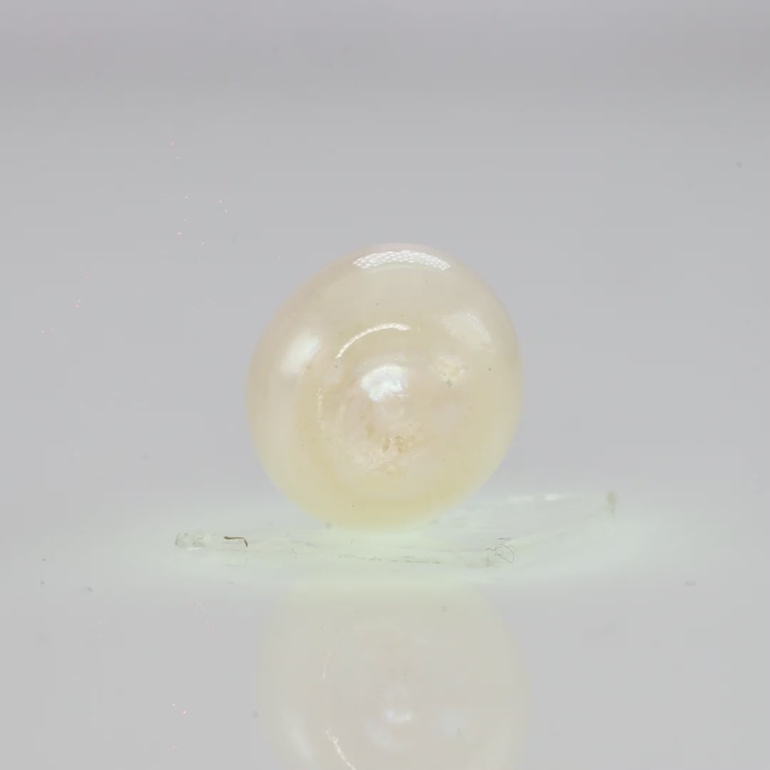 Natural Fresh Water Pearl - 5.81 Carats V