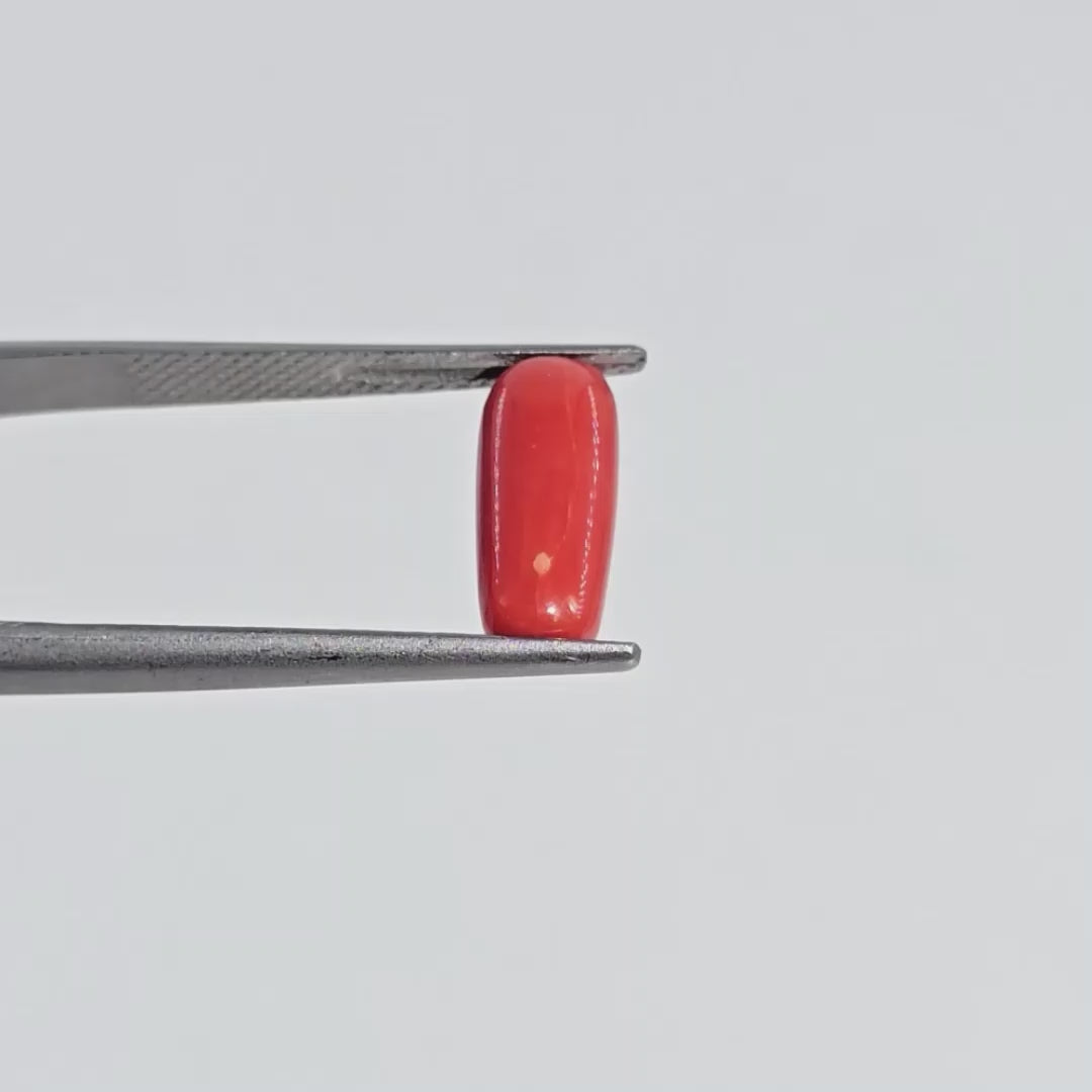 Natural Red Coral (Moonga) - 4.10 Carats