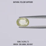 
                    
                      Load and play video in Gallery viewer, Yellow Sapphire - 1244-4.37Ct-5
                    
                  