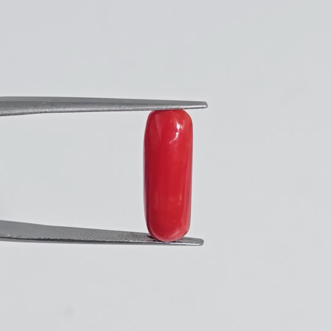 Natural Red Coral (Moonga) - 6.00 Carats