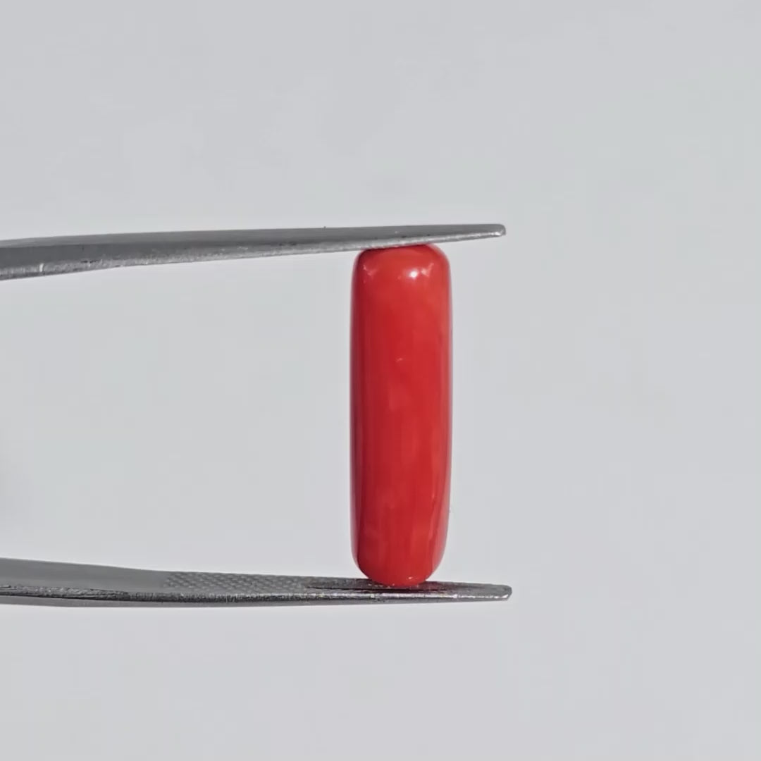 Natural Red Coral (Moonga) - 6.60 Carats
