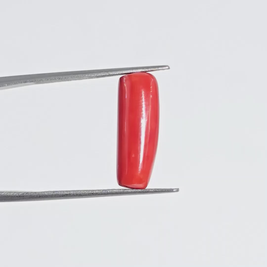 Natural Red Coral (Moonga) - 6.80 Carats