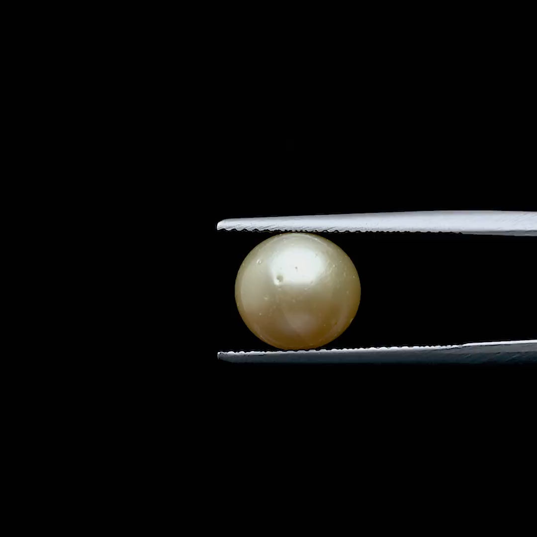 South Sea Pearl - 6.29 Carats
