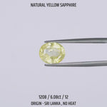 
                    
                      Load and play video in Gallery viewer, Yellow Sapphire - 1208-6.08Ct-12
                    
                  