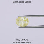 
                    
                      Load and play video in Gallery viewer, Yellow Sapphire - 1216-8.08Ct-12
                    
                  