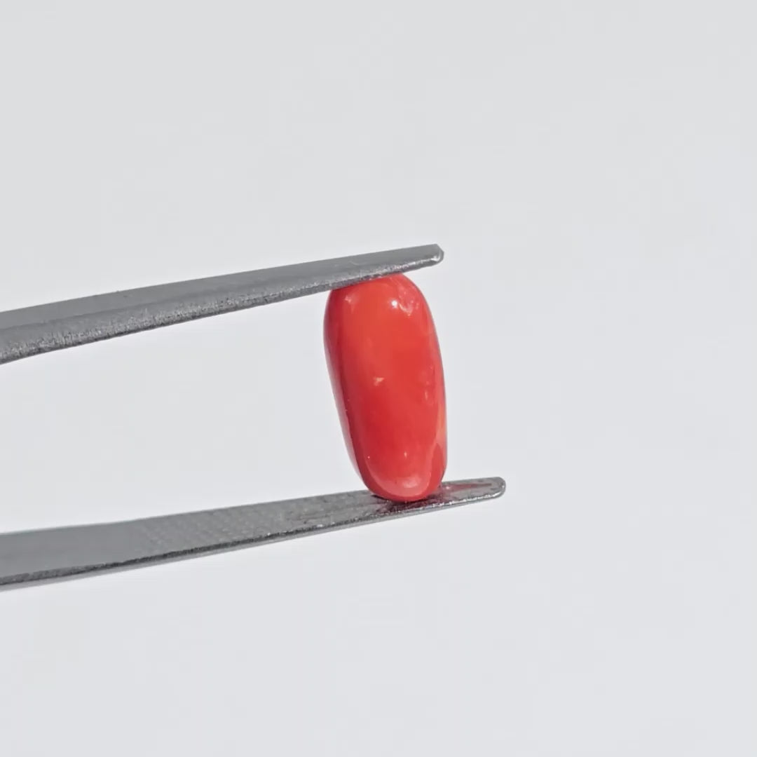 Natural Red Coral (Moonga) - 4.20 Carats