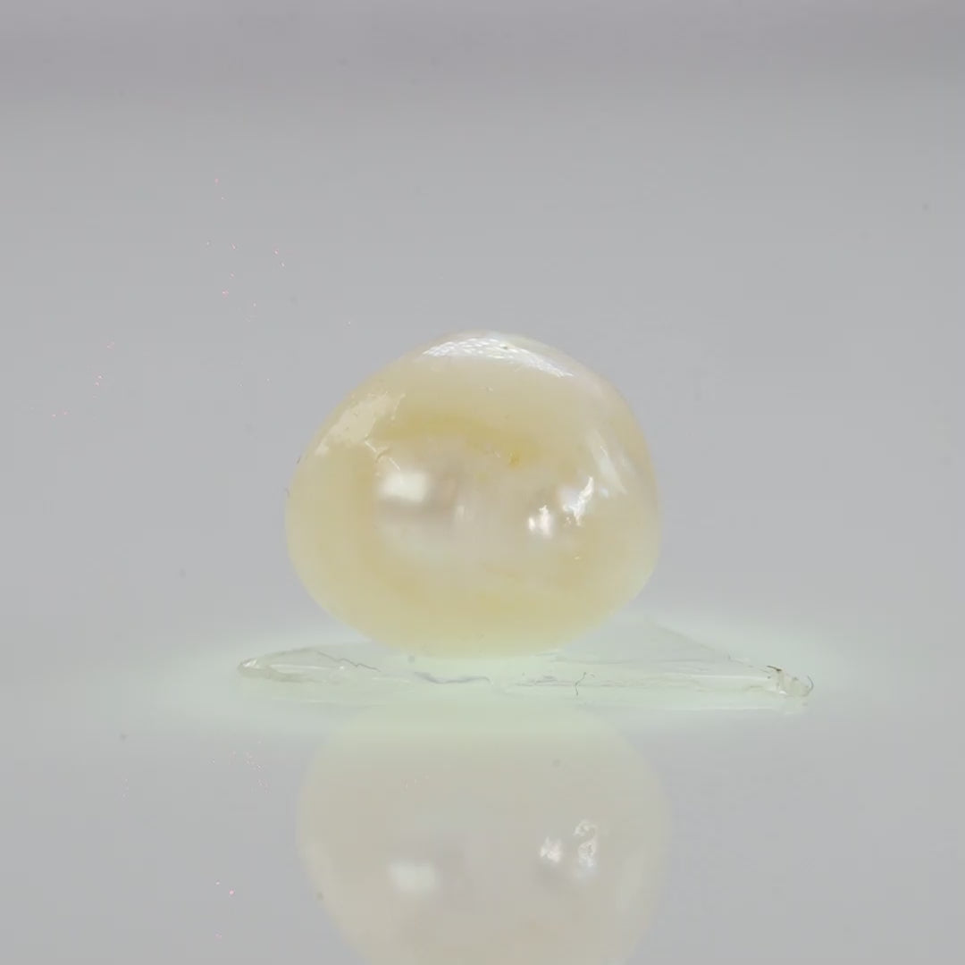 Natural Fresh Water Pearl - 4.7 Carats V