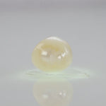 
                    
                      Load and play video in Gallery viewer, Natural Fresh Water Pearl - 4.7 Carats V
                    
                  