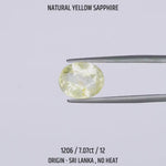 
                    
                      Load and play video in Gallery viewer, Yellow Sapphire - 1206-7.07Ct-12
                    
                  
