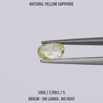 
                    
                      Load and play video in Gallery viewer, Yellow Sapphire - 1260-2.99Ct-5
                    
                  