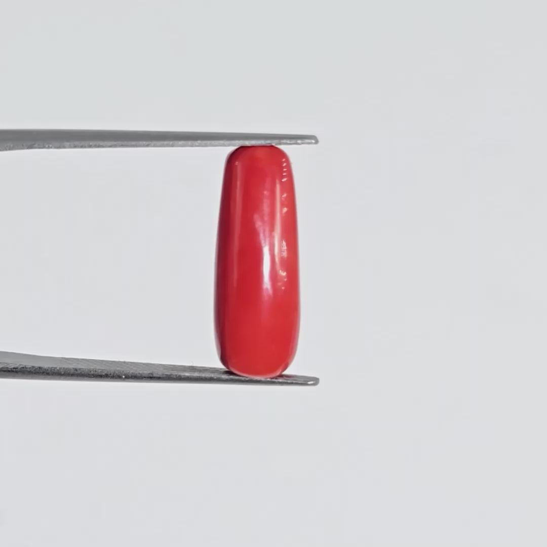 Natural Red Coral (Moonga) - 6.35 Carats