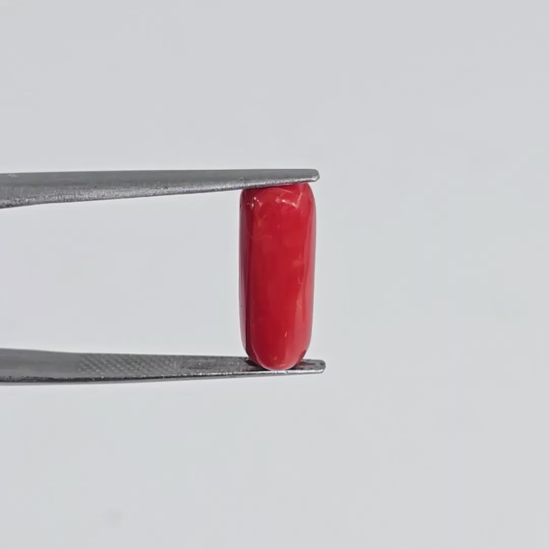 Natural Red Coral (Moonga) - 5.50 Carats