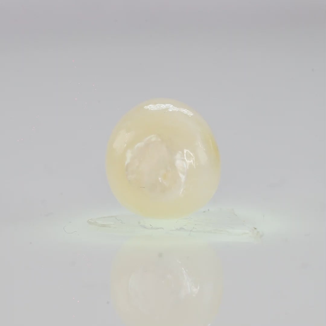 Natural Fresh Water Pearl - 5.69 Carats V