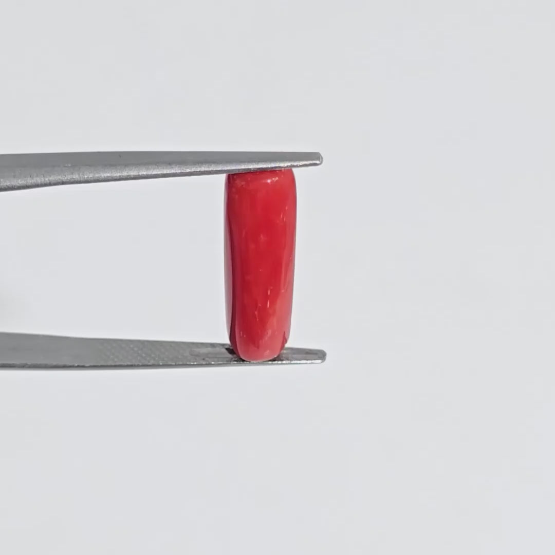 Natural Red Coral (Moonga) - 6.55 Carats