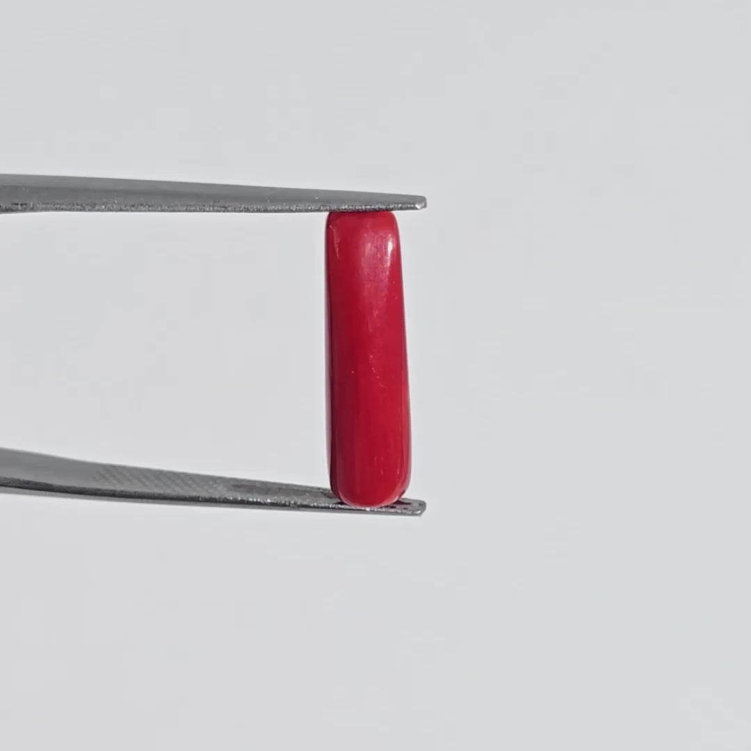 Natural Red Coral (Moonga) - 4.40 Carats