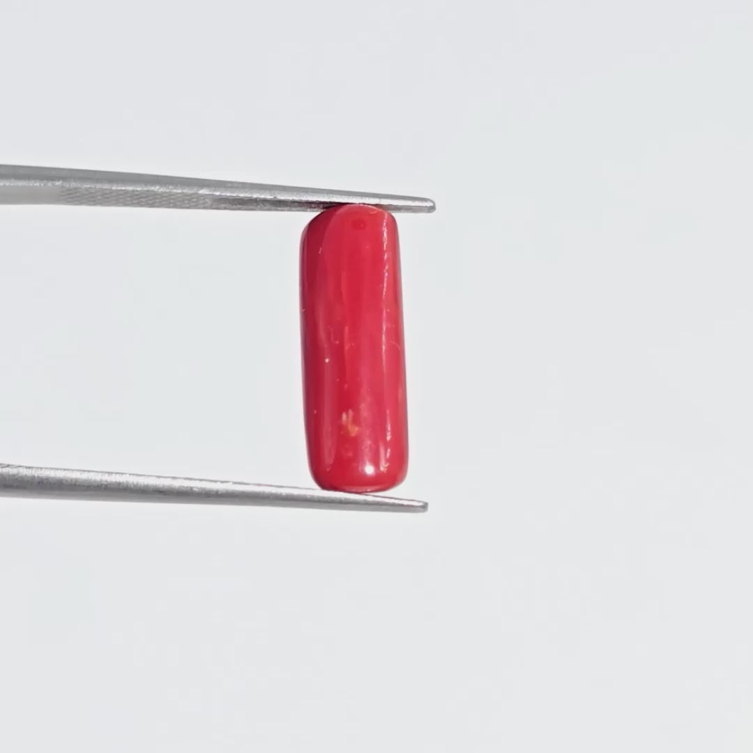 Natural Red Coral (Moonga) - 3.10 Carats