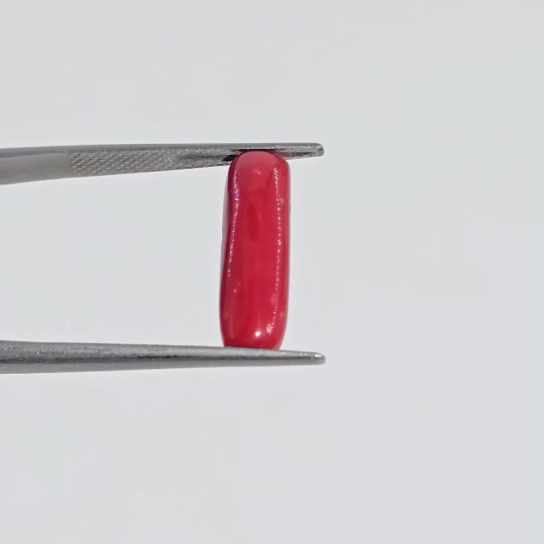 Natural Red Coral (Moonga) - 3.70 Carats