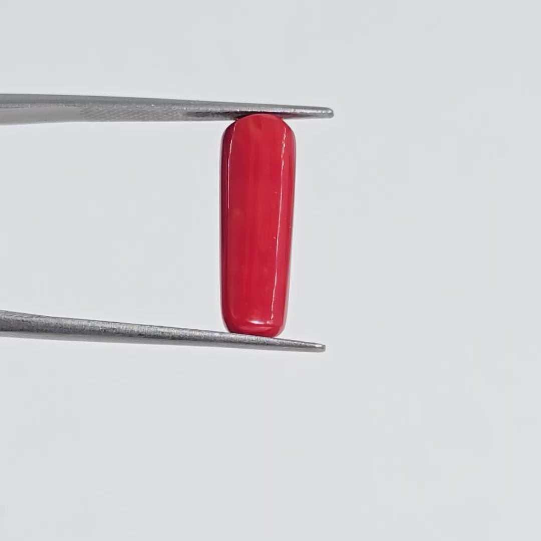 Natural Red Coral (Moonga) - 6.60 Carats